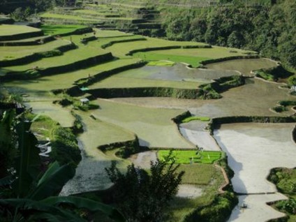 Banaue Rice Terraces, from Carolâ€™s camera - December 2006